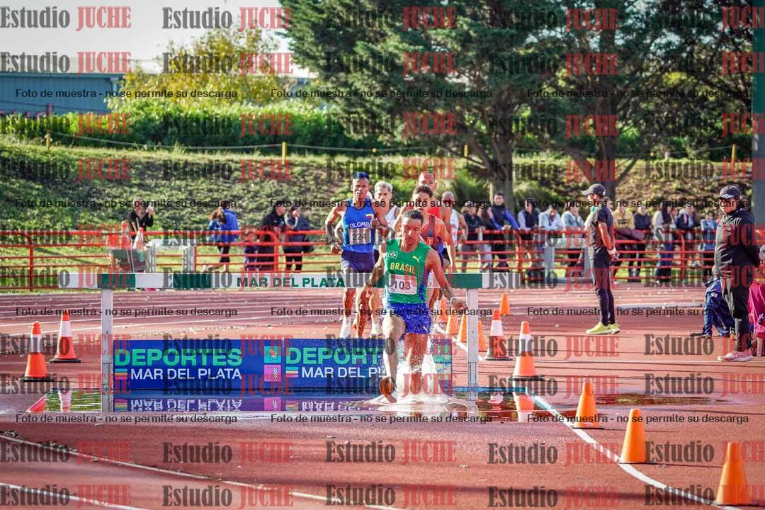 Fotos de los 3000 m con obstáculos de varones