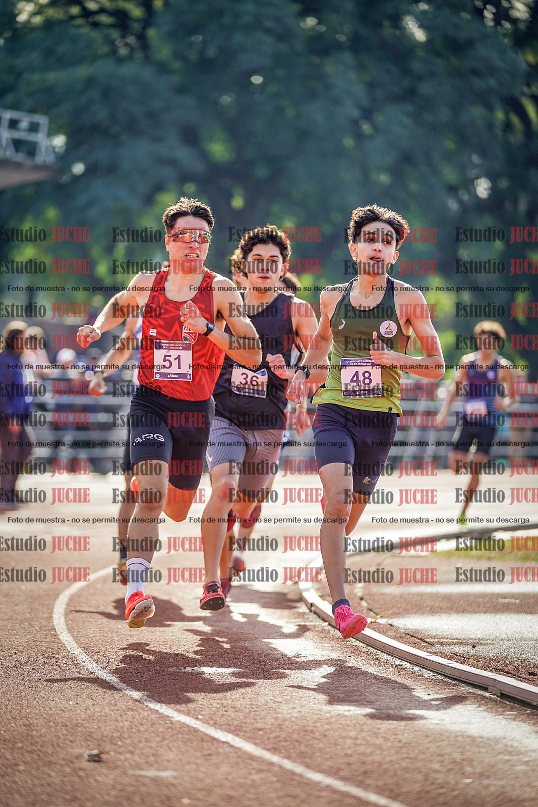 Fotos de los 800 m de varones