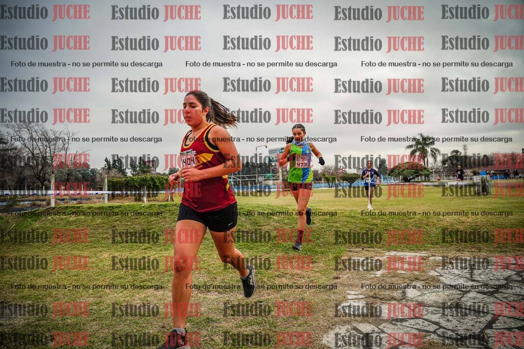 Fotos en el circuito