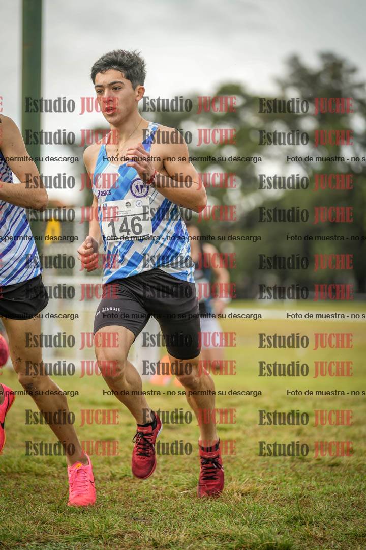 Fotos en el circuito