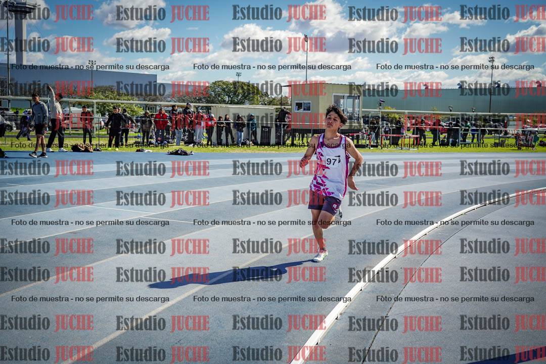 Fotos de los 800 m llanos de varones