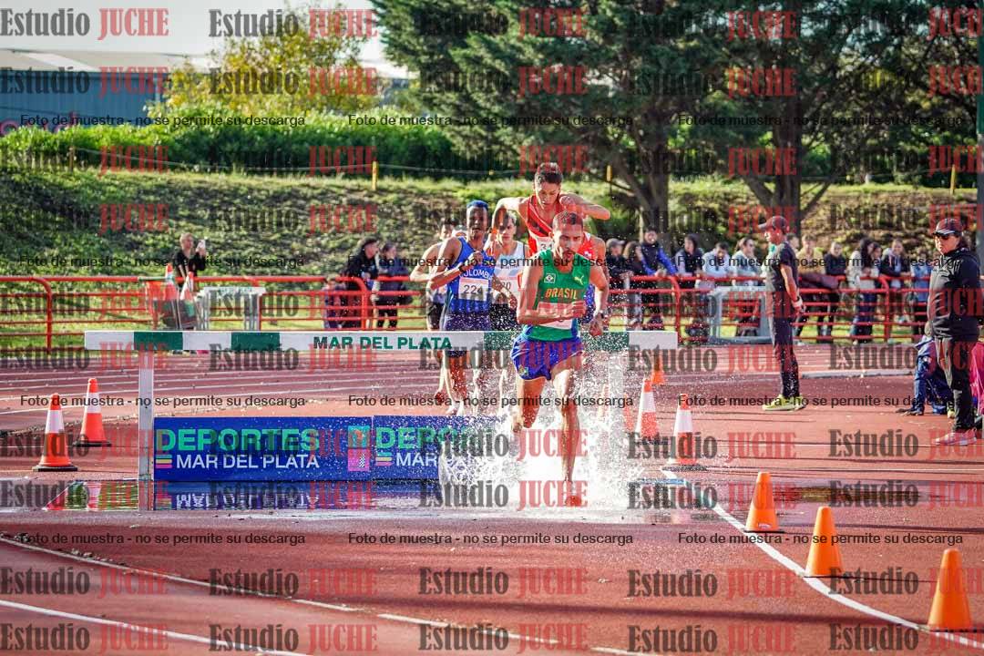 Fotos de los 3000 m con obstáculos de varones