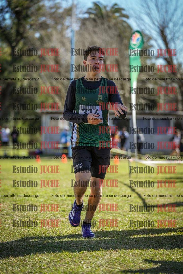 Fotos de la llegada del cross de 2000 m