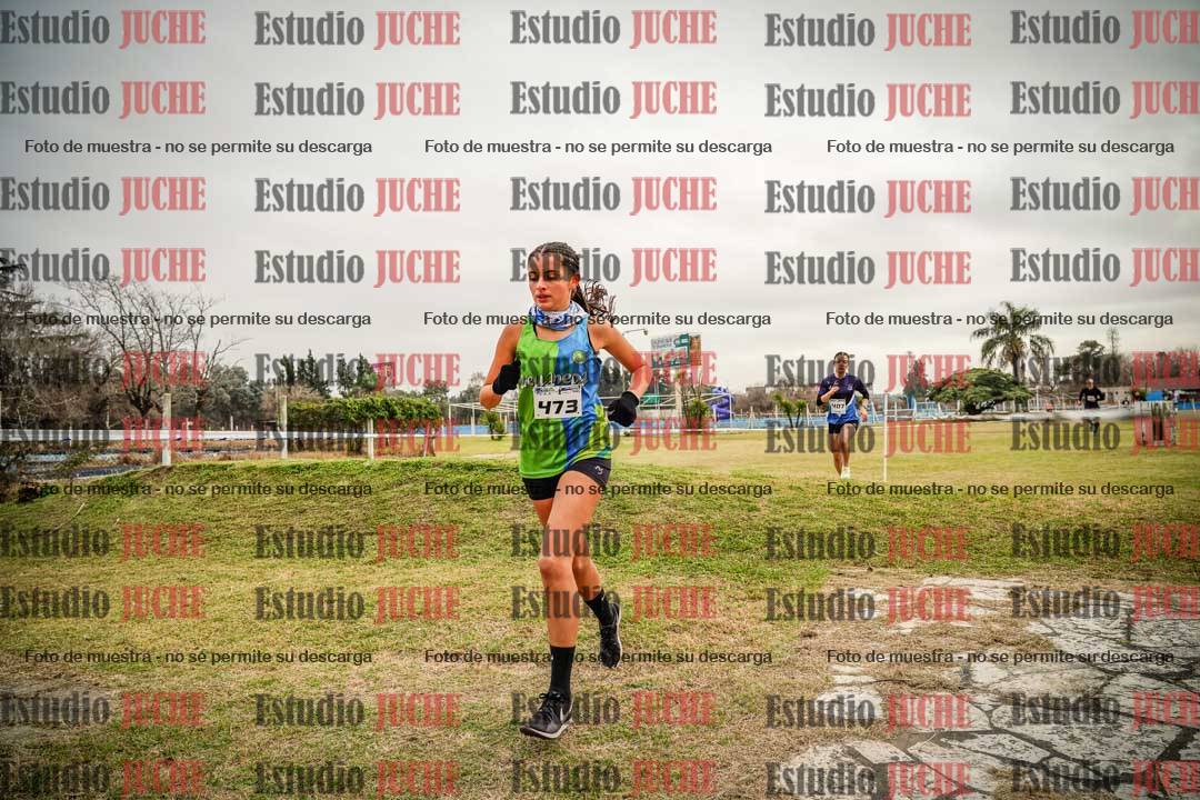 Fotos en el circuito