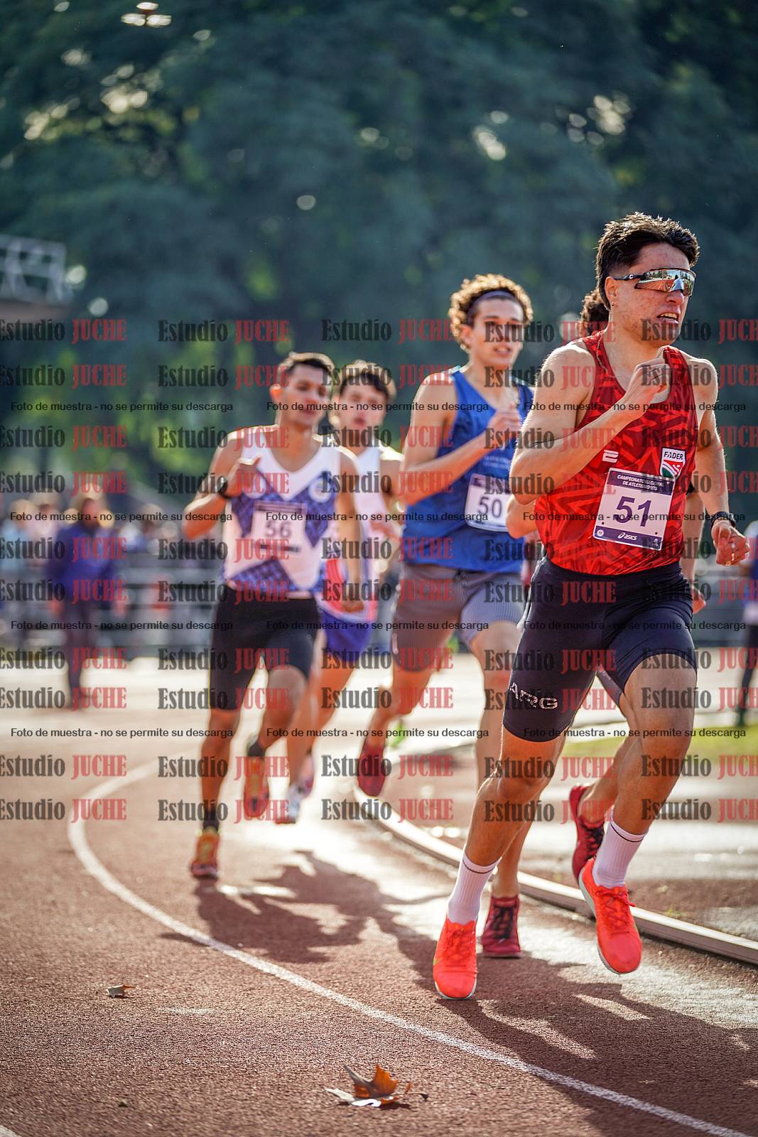 Fotos de los 800 m de varones