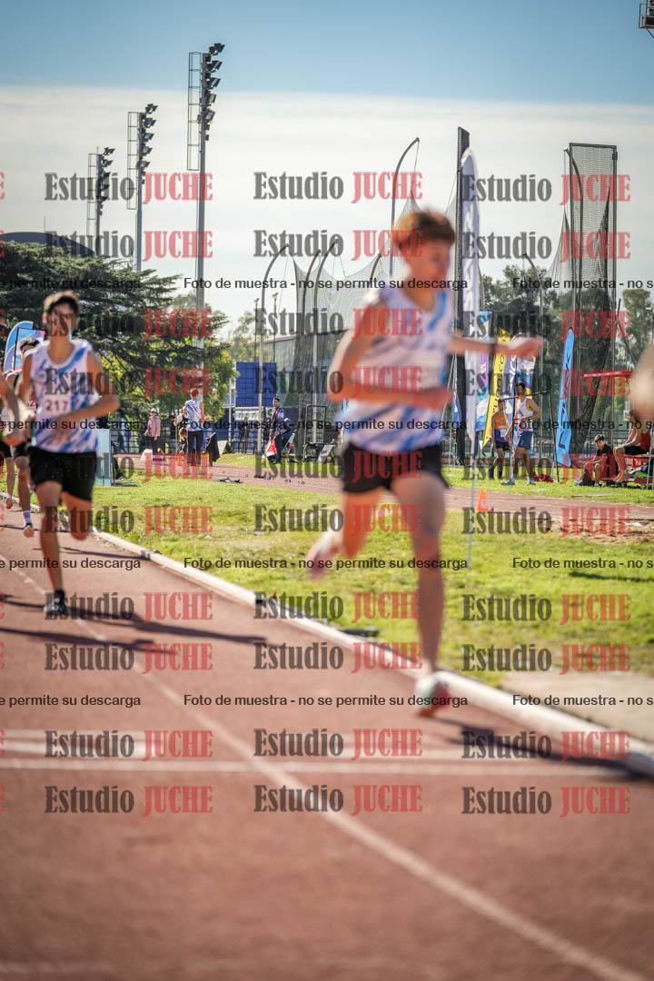 Fotos de los 800 m llanos de varones