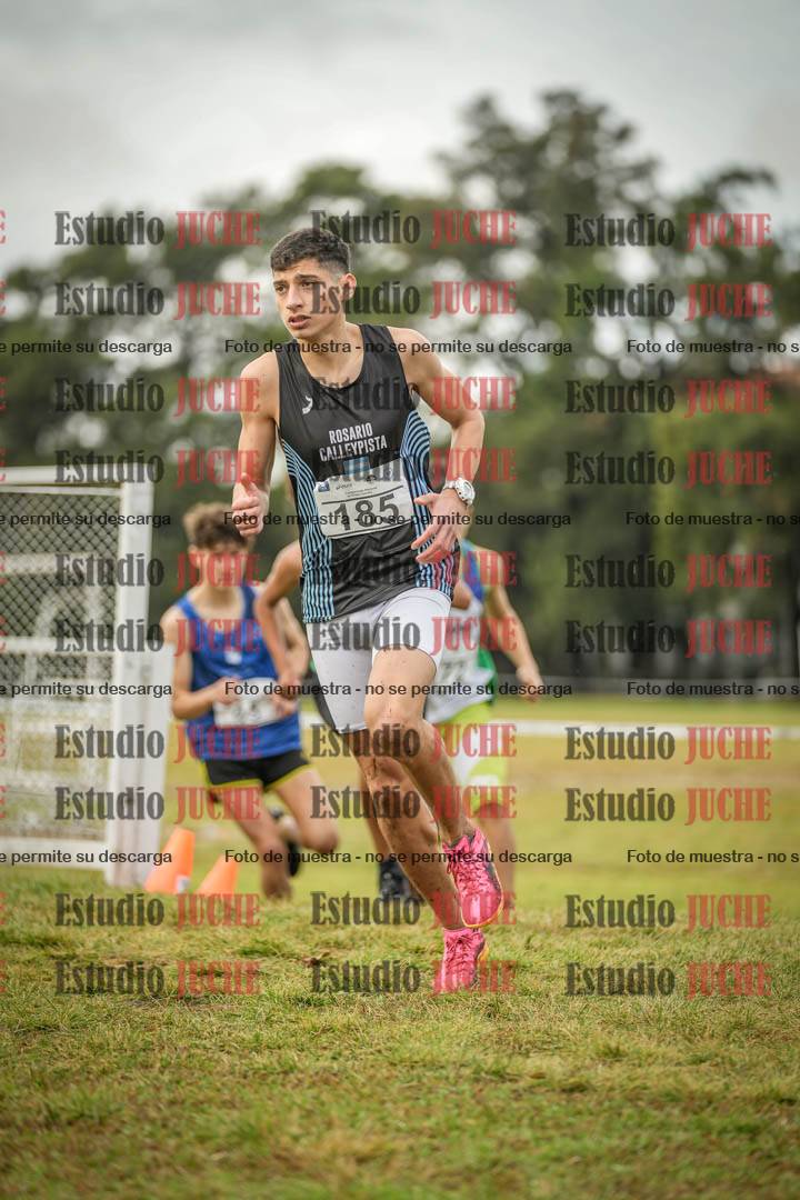 Fotos en el circuito