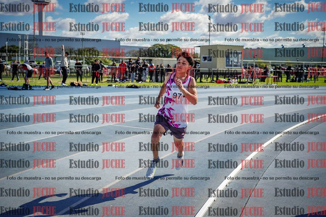 Fotos de los 800 m llanos de varones