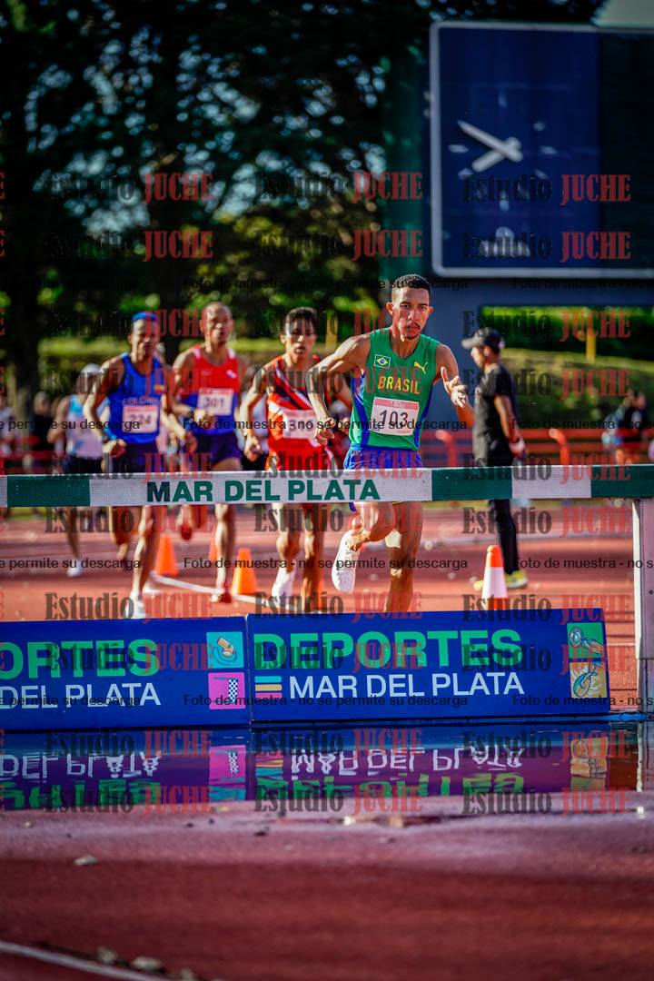 Fotos de los 3000 m con obstáculos de varones