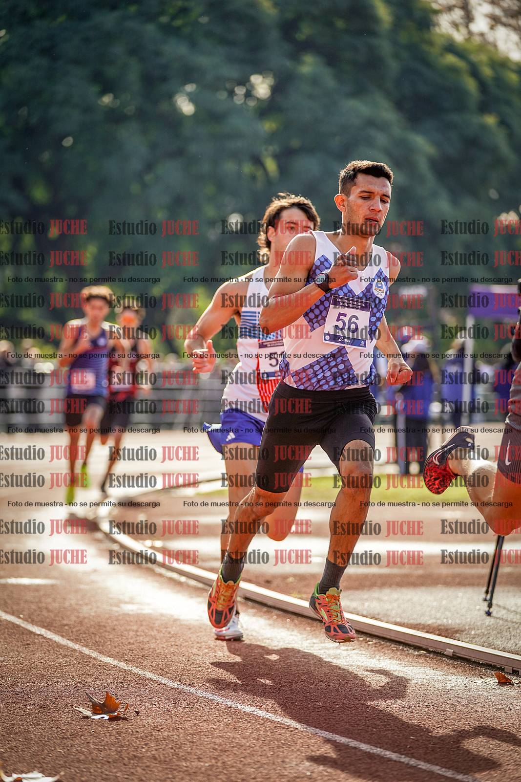 Fotos de los 800 m de varones