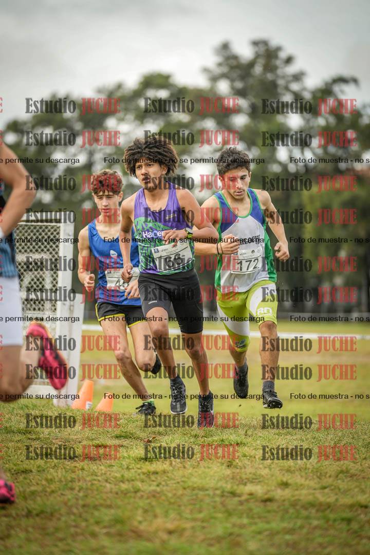 Fotos en el circuito