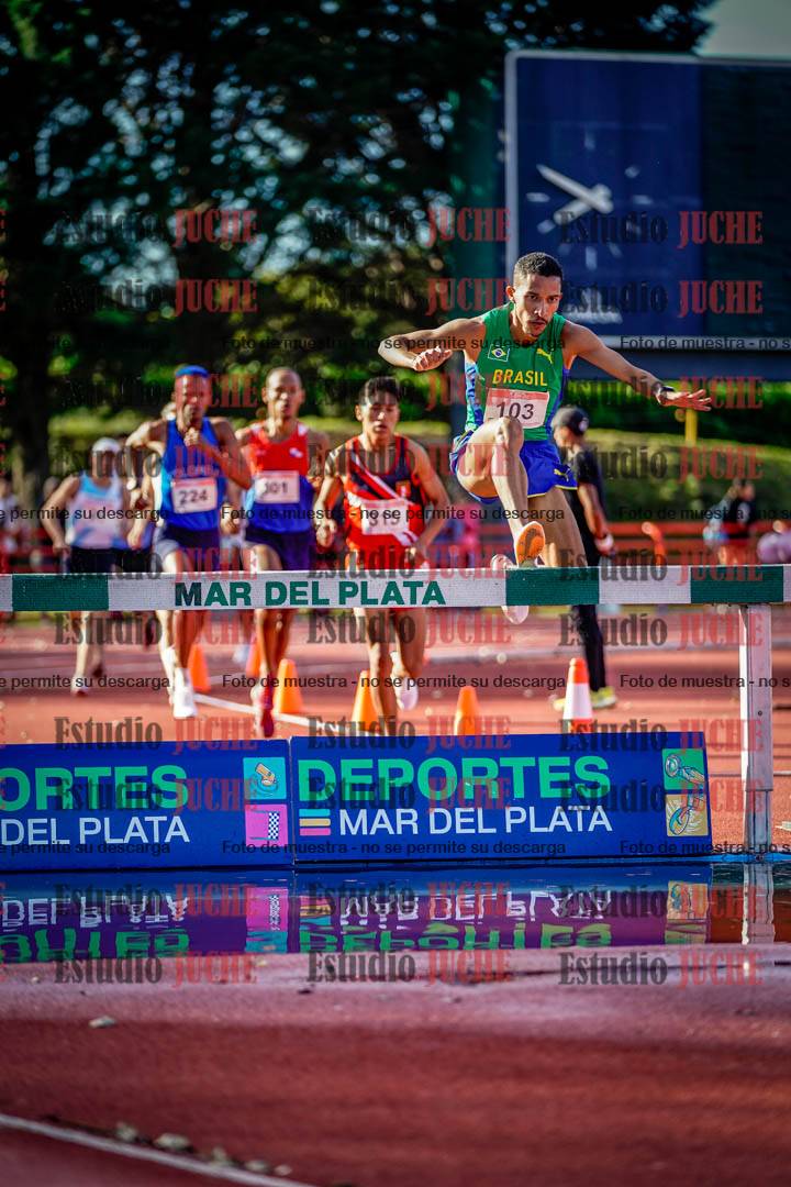 Fotos de los 3000 m con obstáculos de varones
