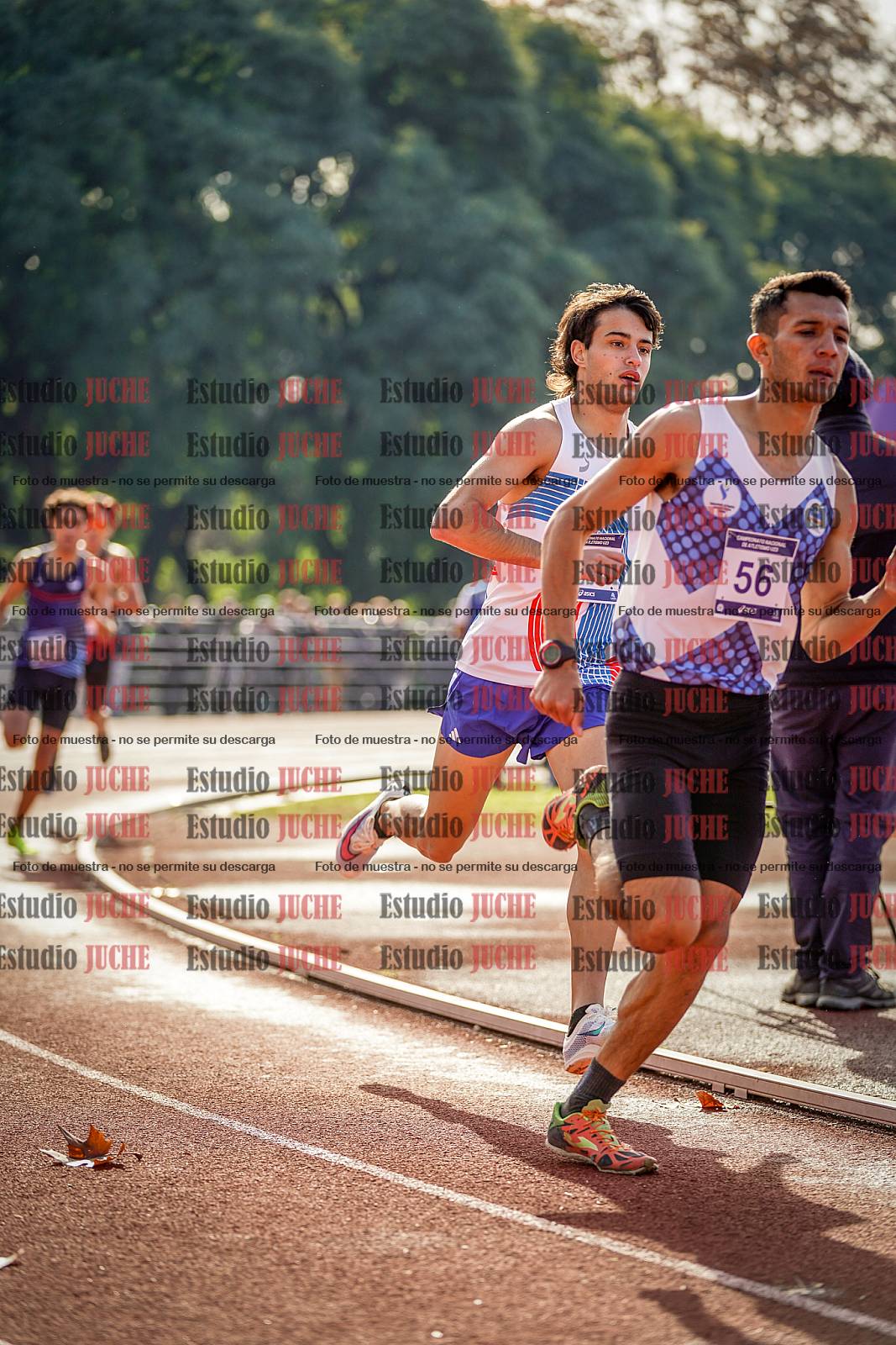 Fotos de los 800 m de varones