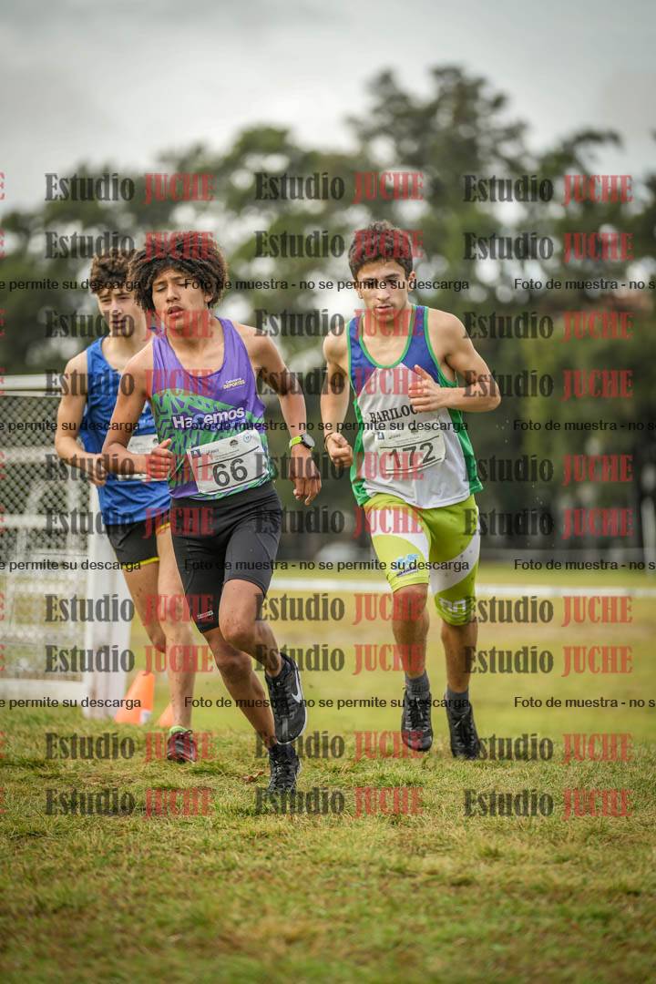 Fotos en el circuito