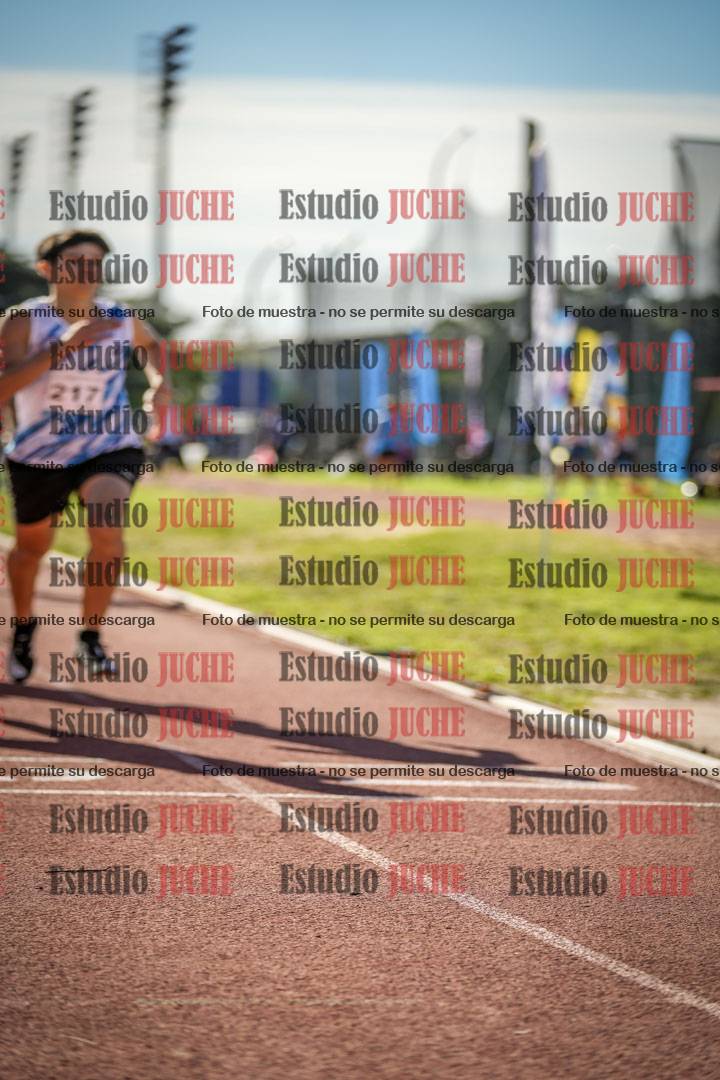 Fotos de los 800 m llanos de varones