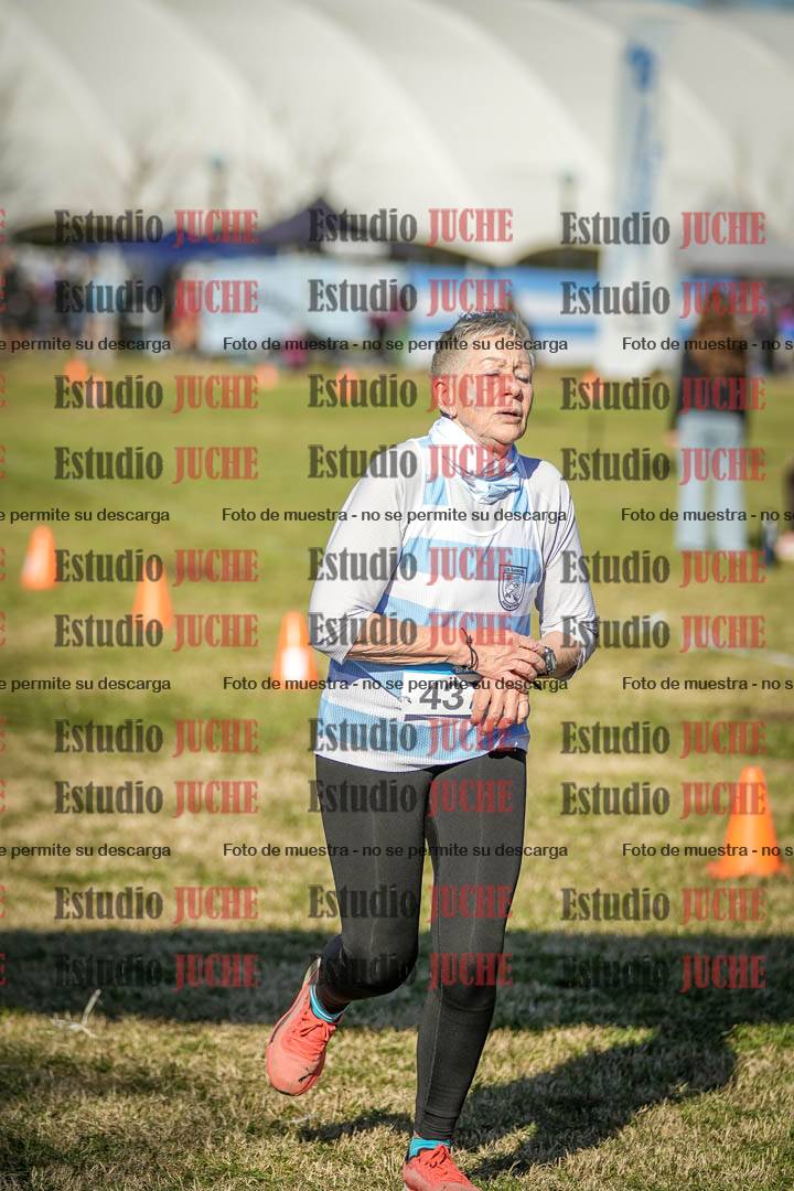 Fotos de las llegadas