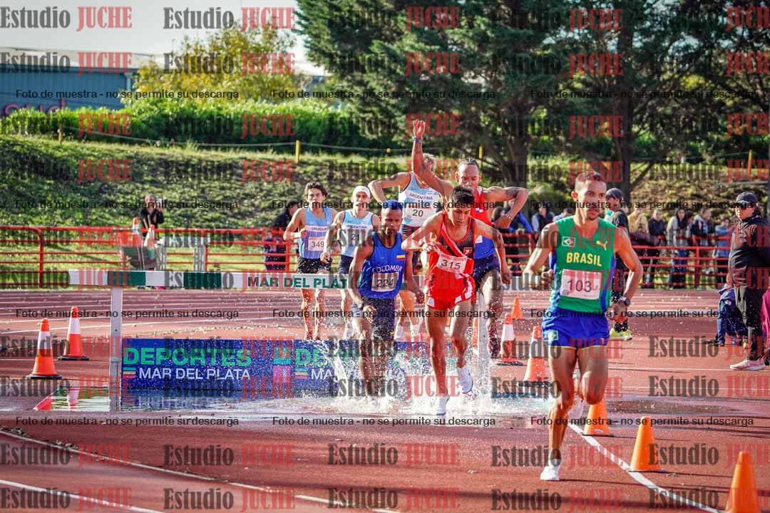Fotos de los 3000 m con obstáculos de varones