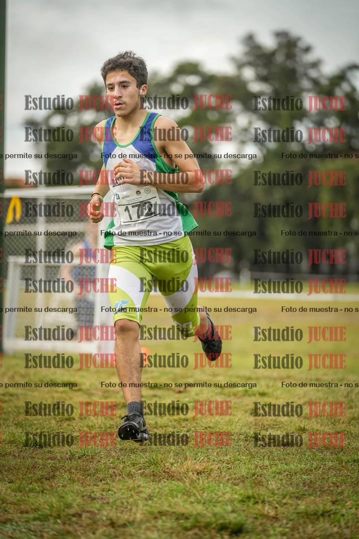 Fotos en el circuito