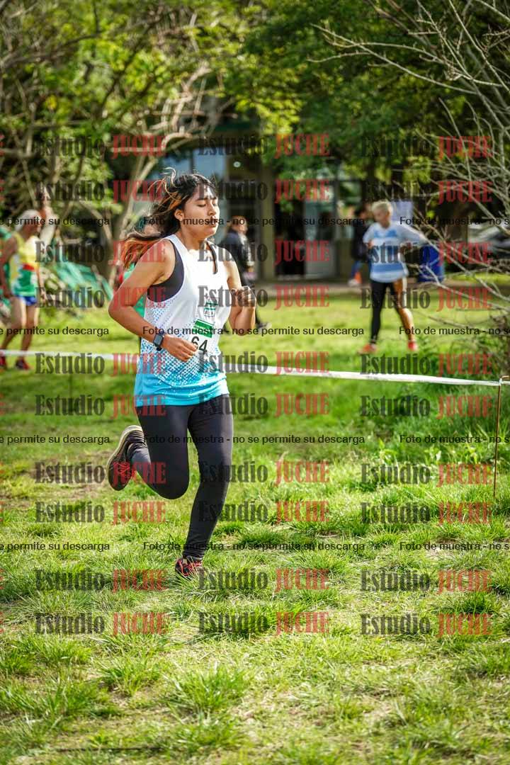 Fotos en el circuito
