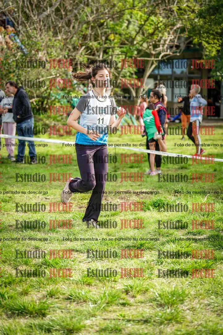 Fotos en el circuito