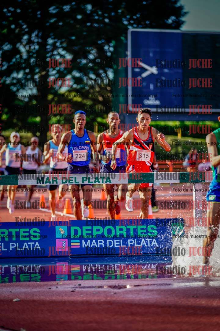 Fotos de los 3000 m con obstáculos de varones