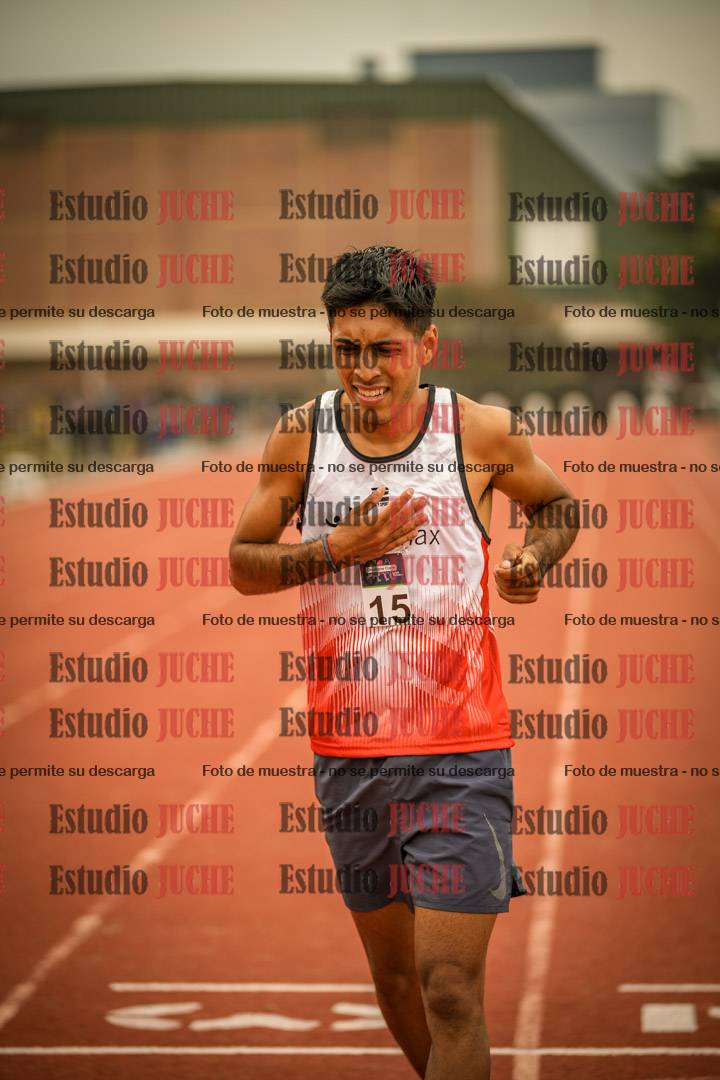 Fotos de los 800 m llanos de varones