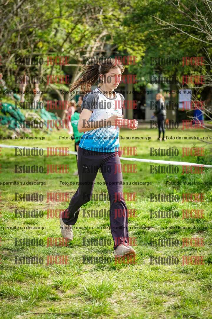 Fotos en el circuito