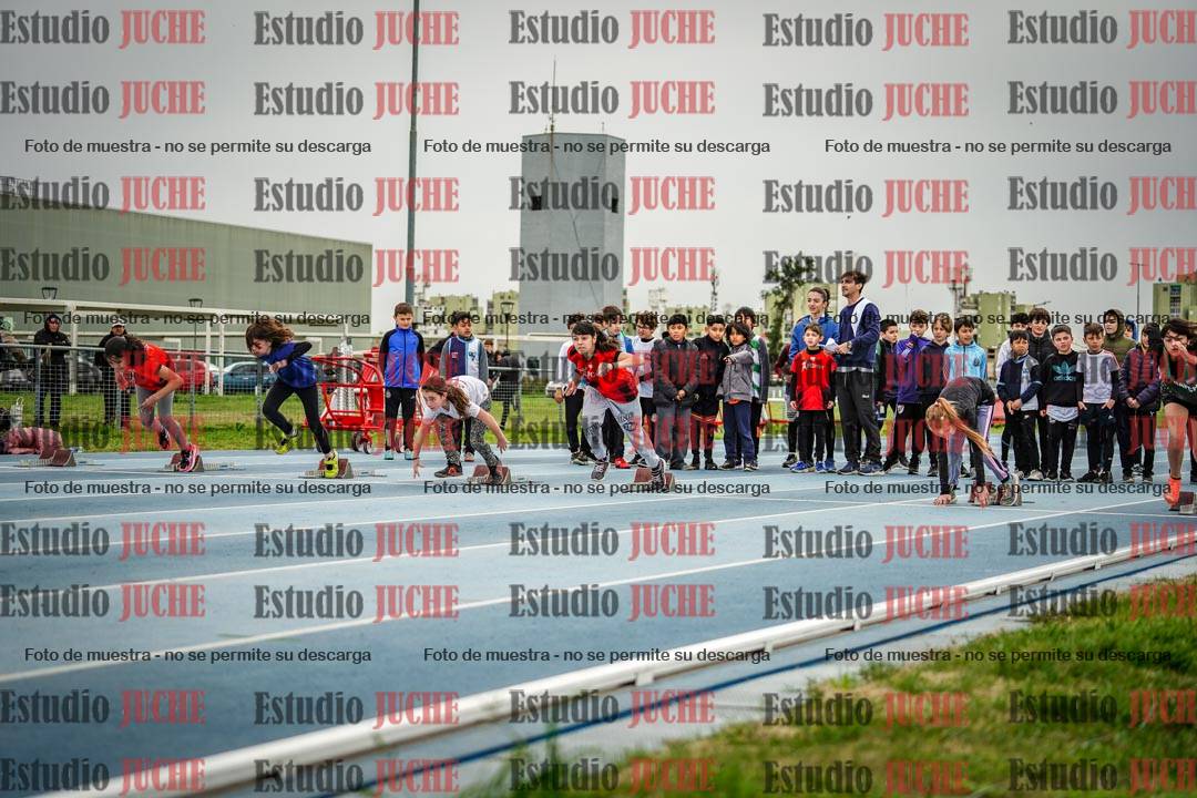 Fotos de los 50 m llanos de mujeres - U12
