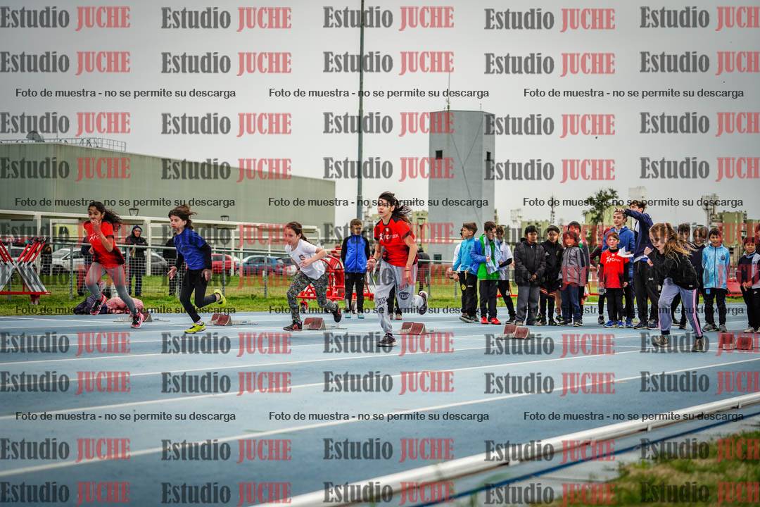 Fotos de los 50 m llanos de mujeres - U12