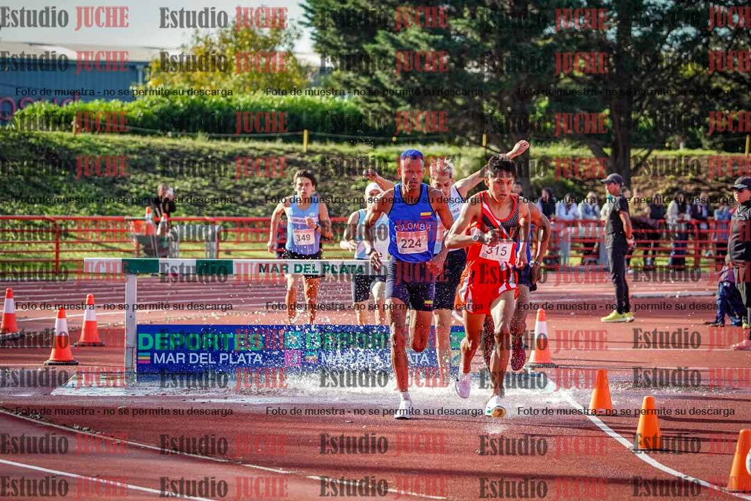 Fotos de los 3000 m con obstáculos de varones