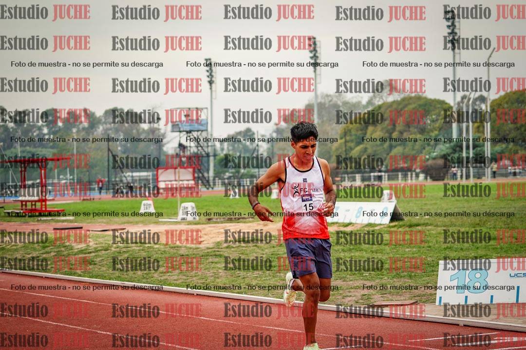 Fotos de los 800 m llanos de varones