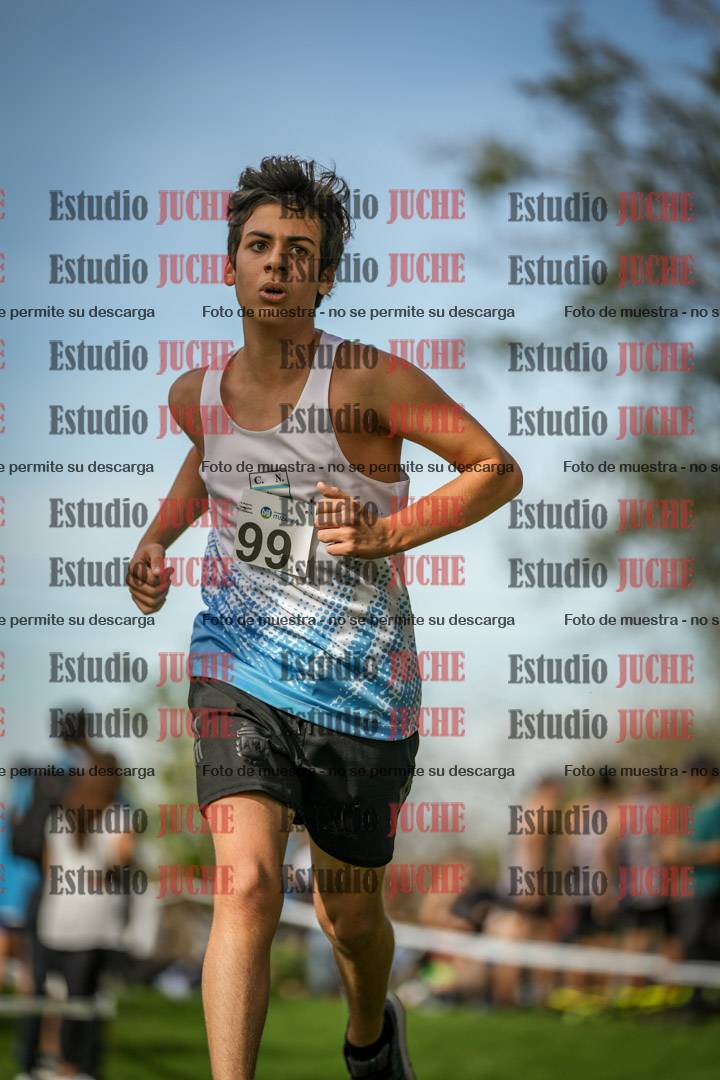 Fotos de la llegada del cross de 2000 m
