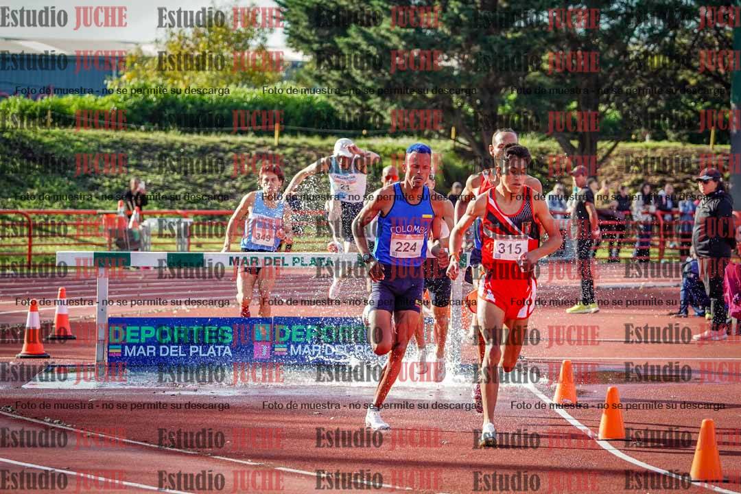 Fotos de los 3000 m con obstáculos de varones