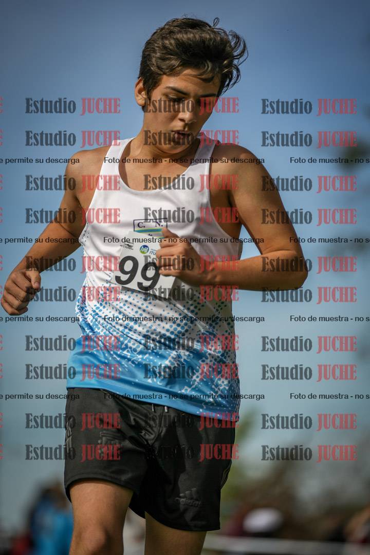 Fotos de la llegada del cross de 2000 m