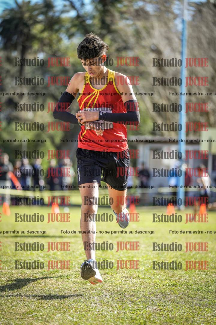 Fotos de la llegada del cross de 2000 m