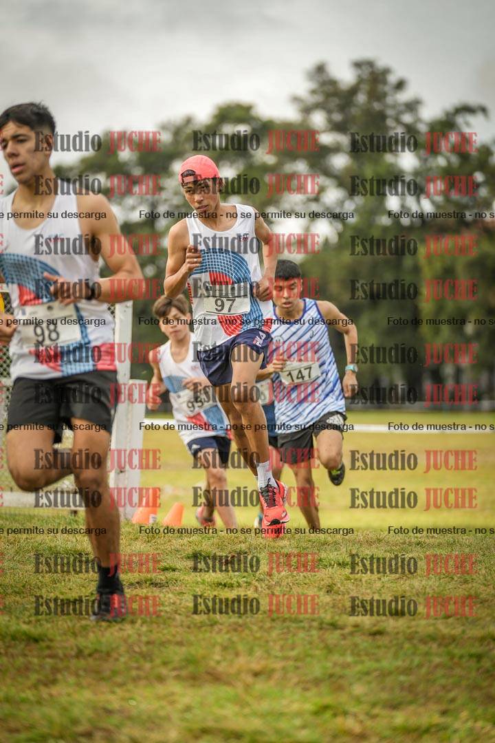 Fotos en el circuito