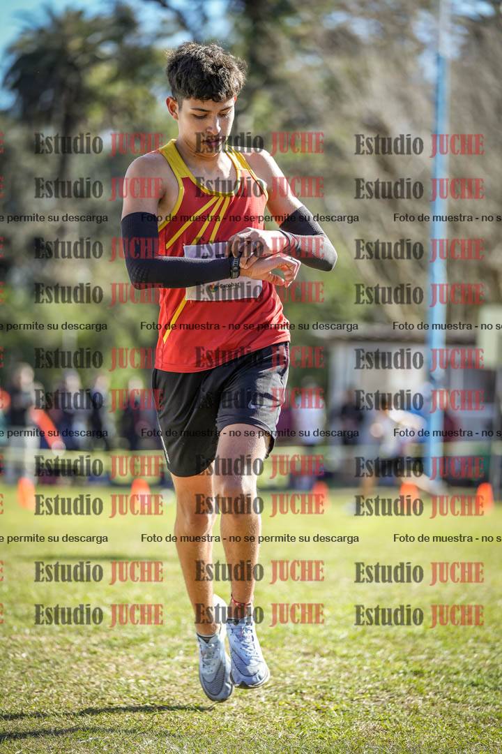 Fotos de la llegada del cross de 2000 m