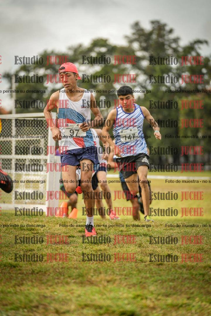 Fotos en el circuito