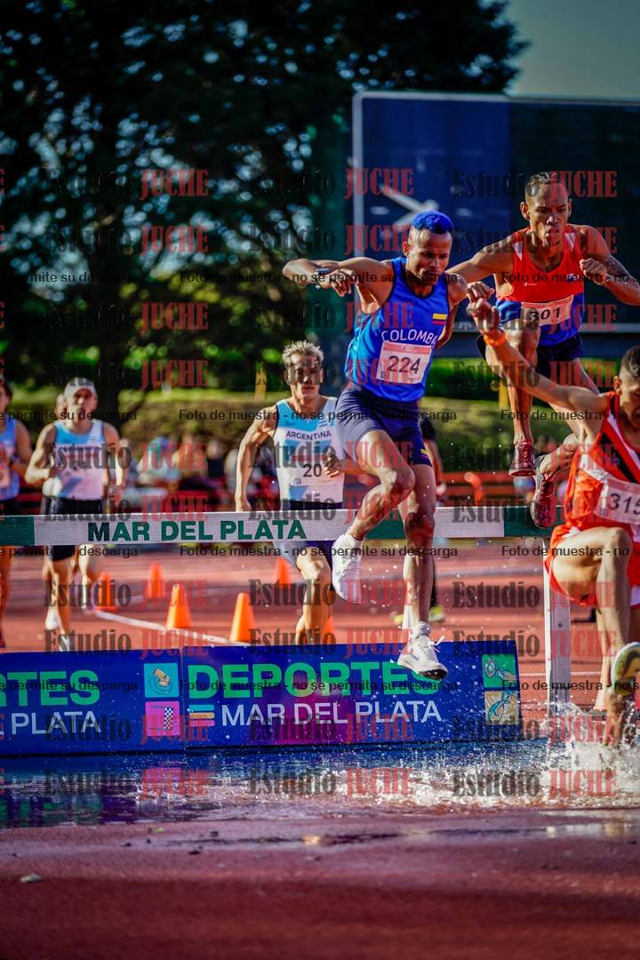 Fotos de los 3000 m con obstáculos de varones