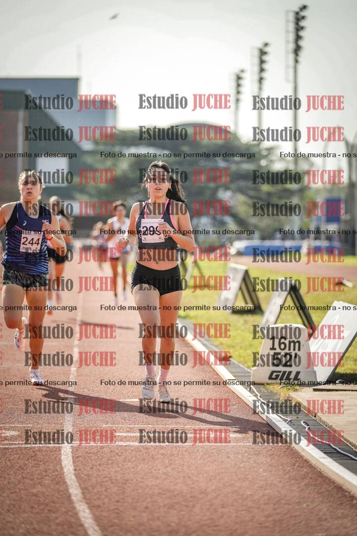 Fotos de los 800 m llanos de mujeres