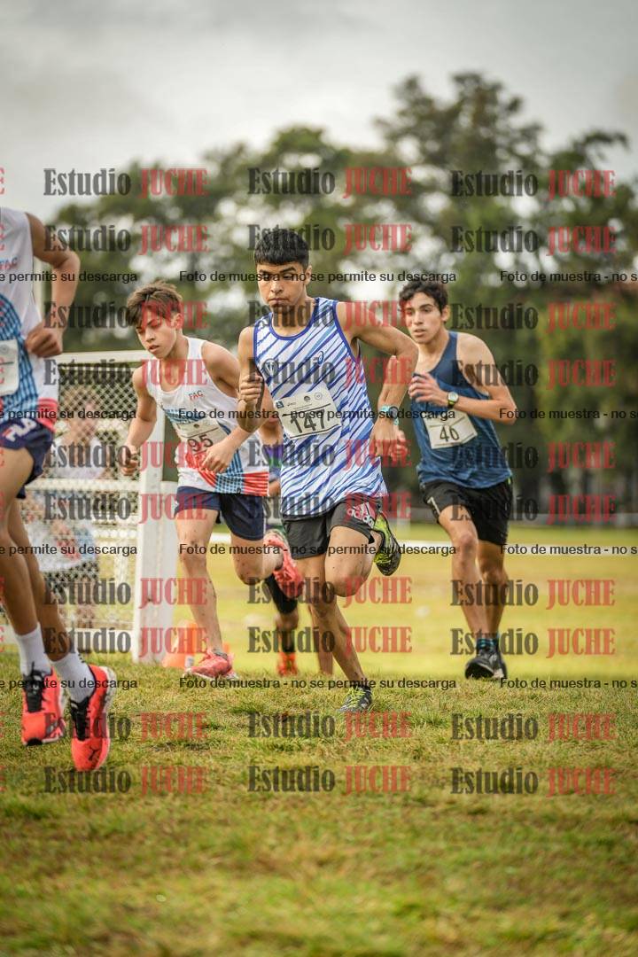 Fotos en el circuito