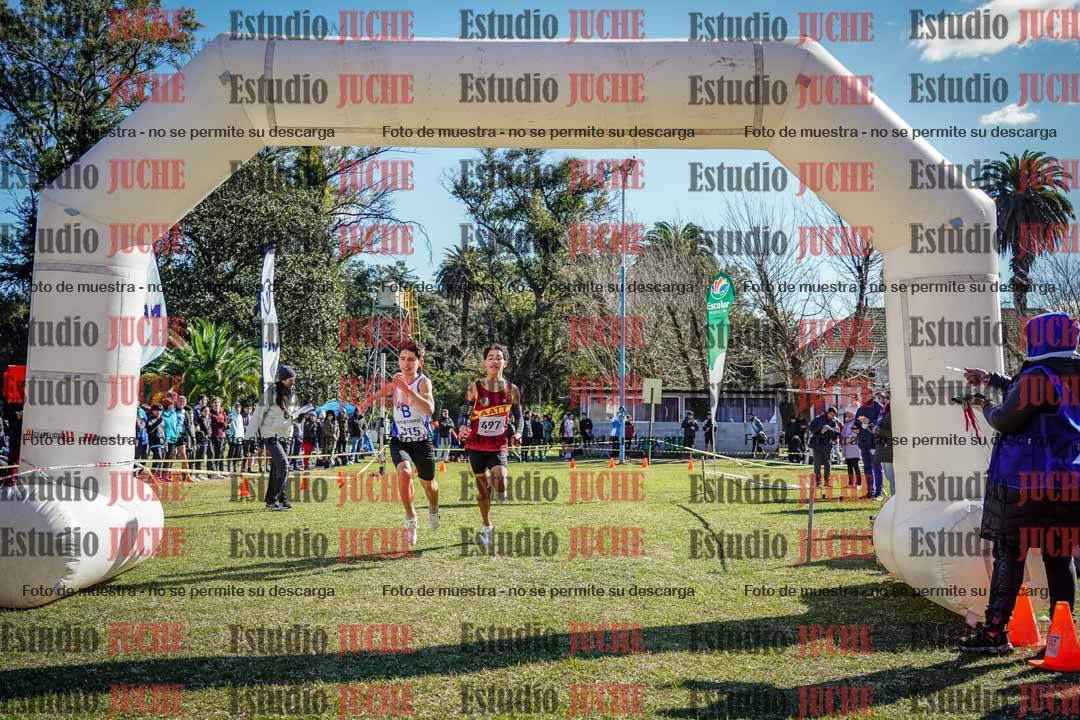 Fotos de la llegada del cross de 2000 m