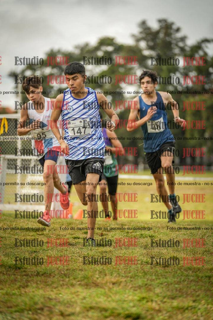 Fotos en el circuito