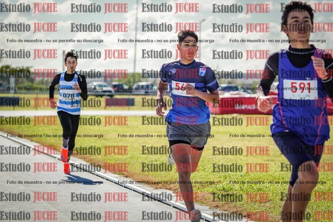 Fotos de los 800 m llanos de varones