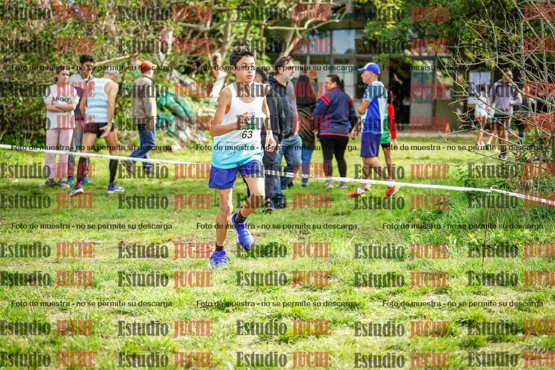 Fotos en el circuito