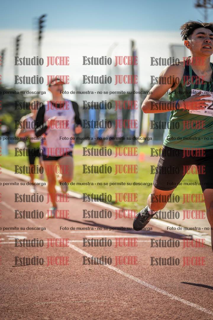 Fotos de los 800 m llanos de varones