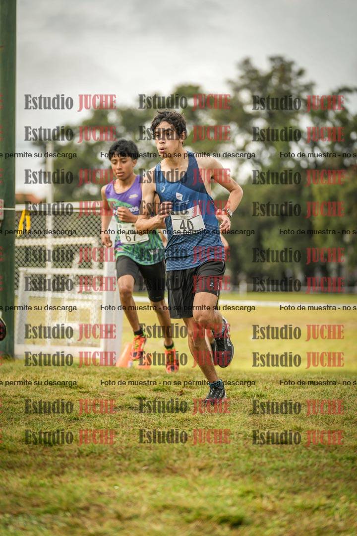 Fotos en el circuito