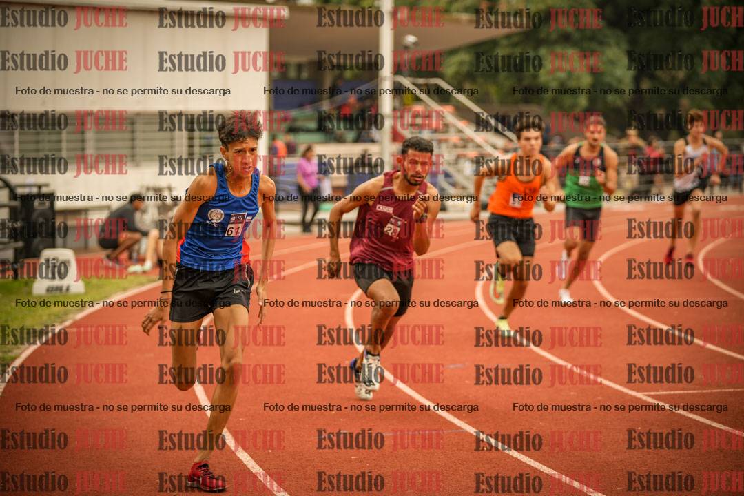 Fotos de los 800 m llanos de varones