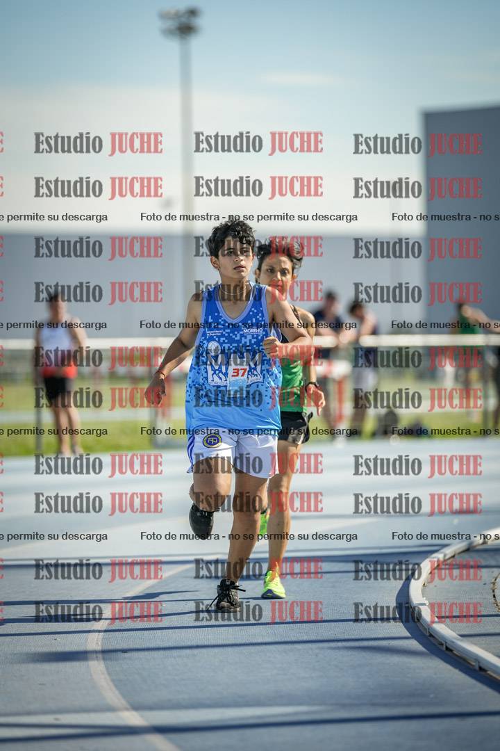Fotos de los 1500 m llanos de mujeres