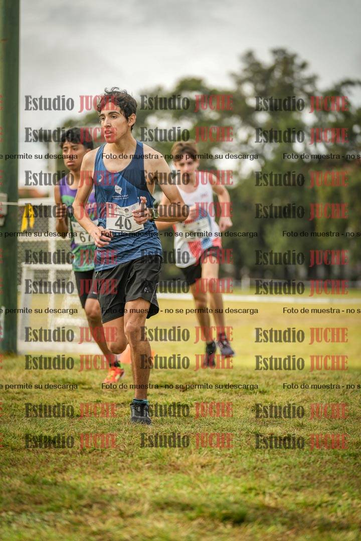 Fotos en el circuito